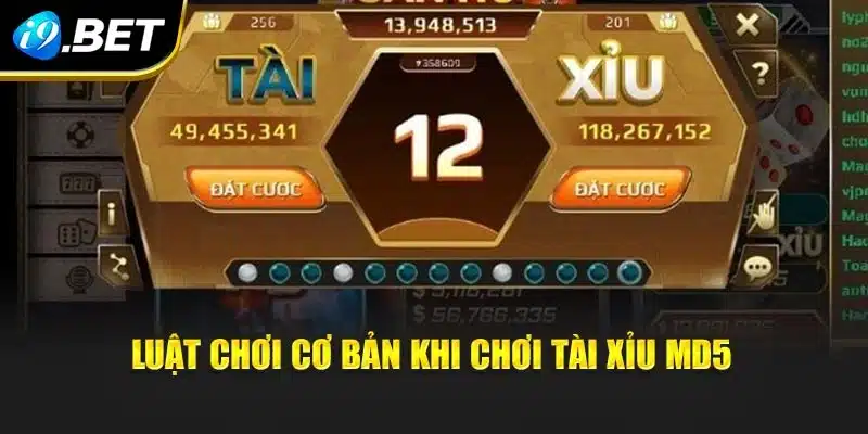 Luật chơi cơ bản khi chơi tài xỉu MD5